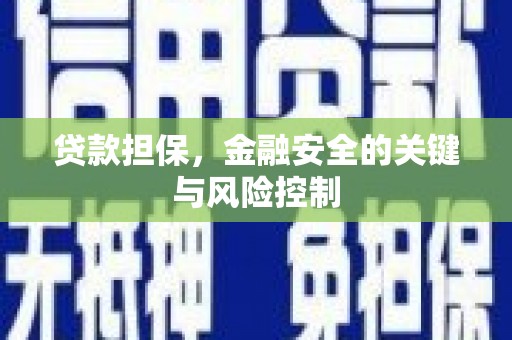 东坡贷款担保，金融安全的关键与风险控制