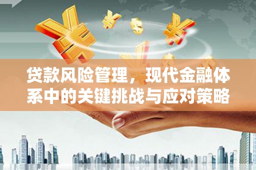 桦甸贷款风险管理，现代金融体系中的关键挑战与应对策略
