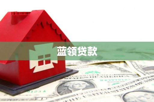 云龙蓝领贷款