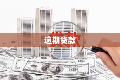 荷塘逾期贷款