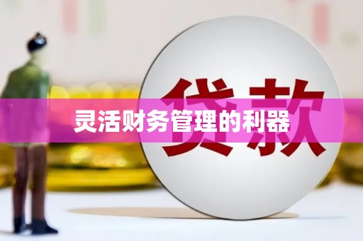 宁阳灵活财务管理的利器