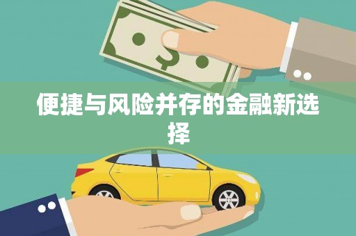 玛曲便捷与风险并存的金融新选择