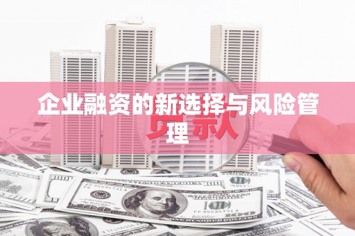 曹妃甸企业融资的新选择与风险管理