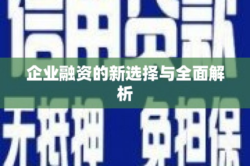 郴州企业融资的新选择与全面解析