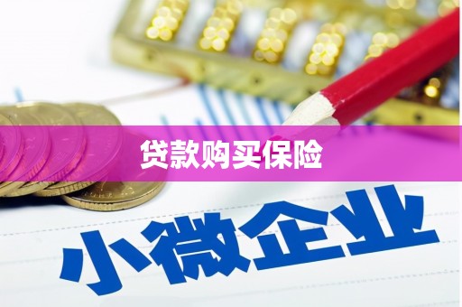 鼎城贷款购买保险