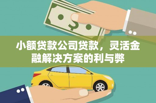 苓雅小额贷款公司贷款，灵活金融解决方案的利与弊