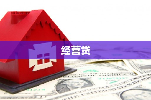 洋县经营贷